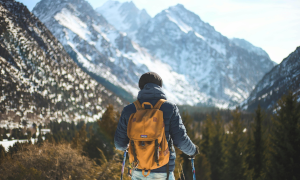 Specific and general Pyomo binary knapsack models